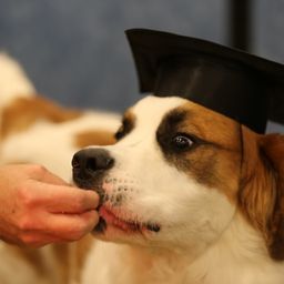 photograph by PeterW